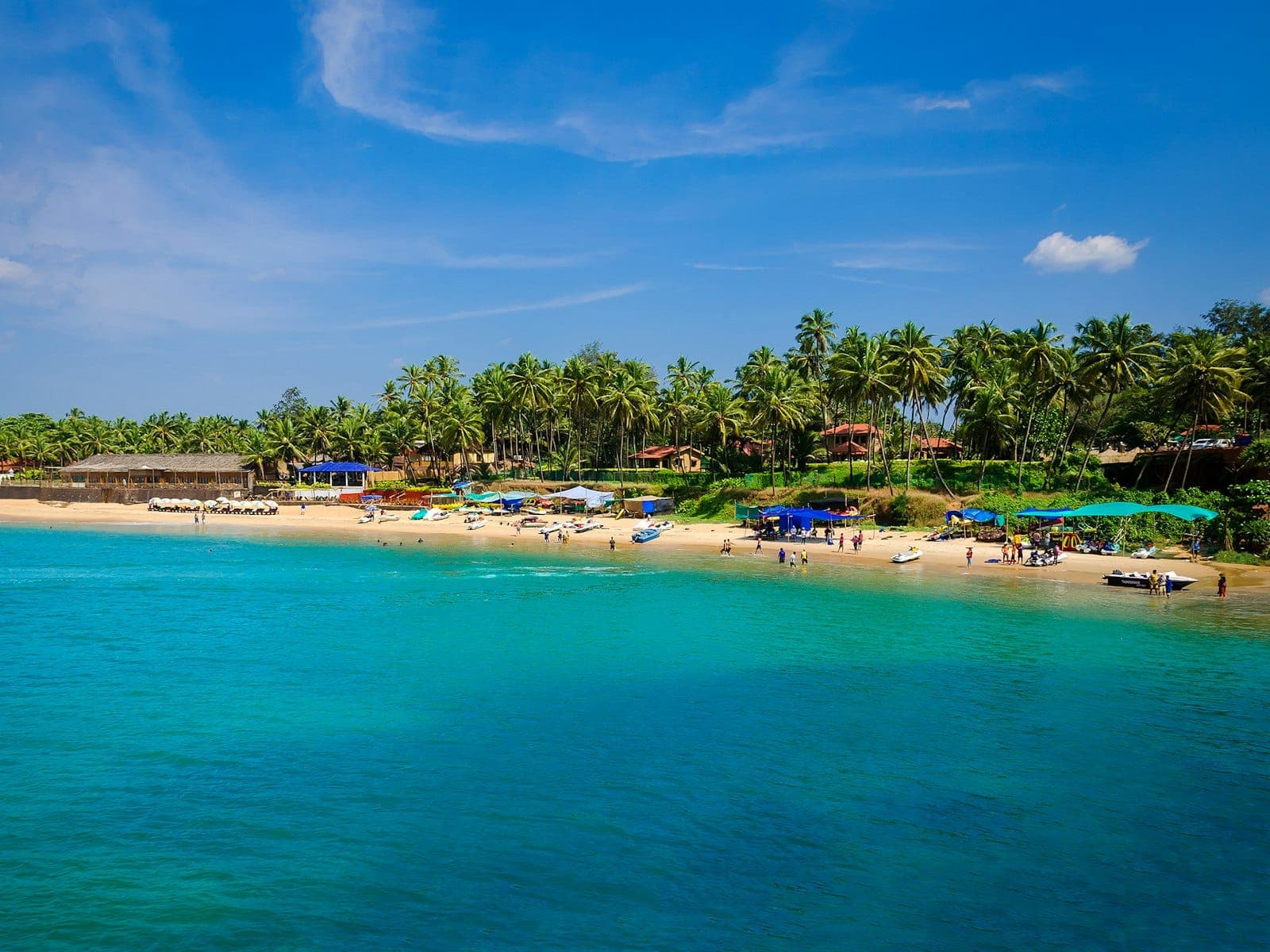 Palm-fringed beach in Goa